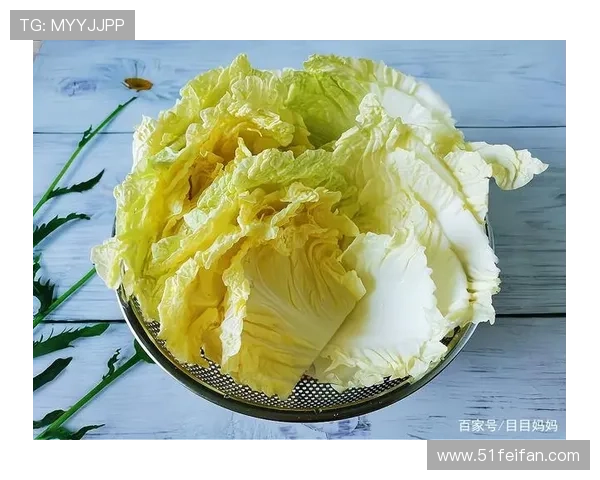 深入探讨白菜分享君的合法性及其影响